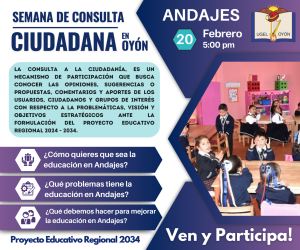 Consulta-Andajes