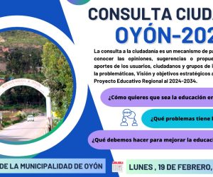 Consulta-Oyon2