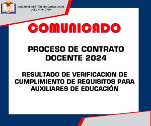 PLAZAS2024_AUX_REQUISITOS